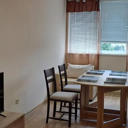 Tanya's Flat Apartment